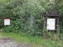 Rezerwat Dolina Łańskiego Potoku